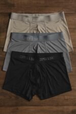 Turkish Fabrics Boxer - Image 4